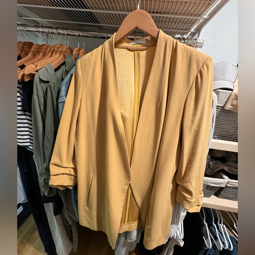 Aritzia Babaton blazer size 10